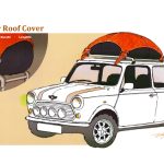 Leather Roof Cover