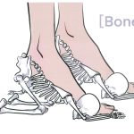 骨（Bone）