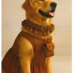 わんちゃんベルト、小物入れ